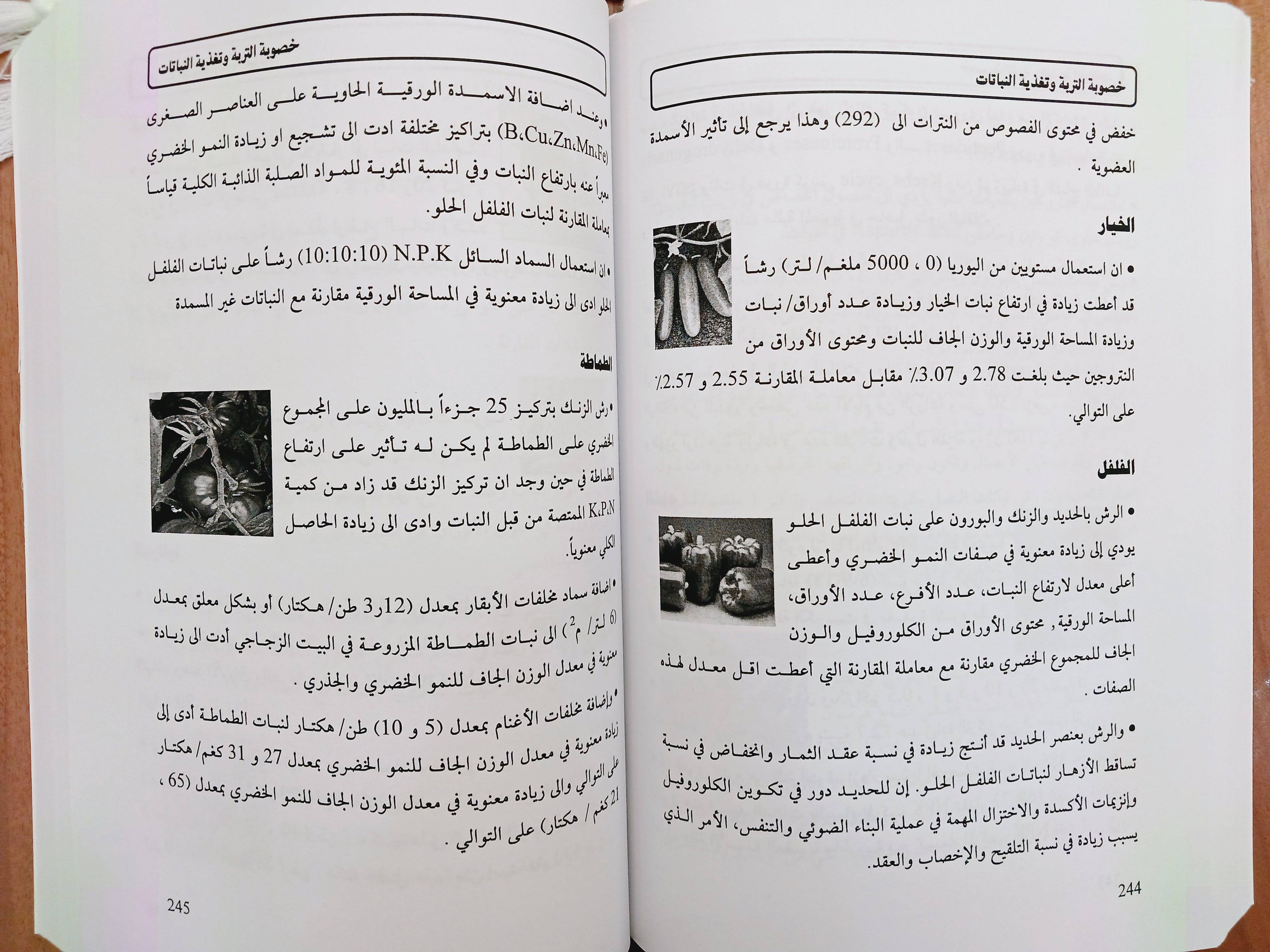                                         خصوبة التربة و تغذية النباتات 